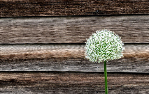 Visitor Center «Amana Colonies», reviews and photos, 622 46th Ave, Amana, IA 52203, USA