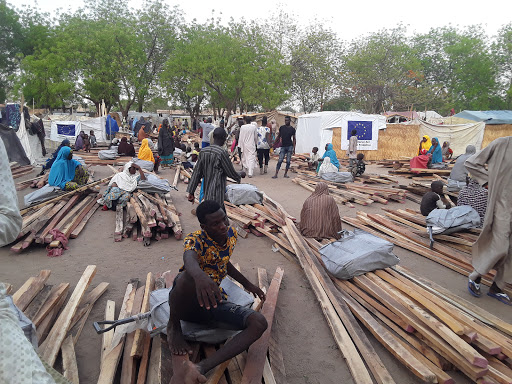 Danish Refugee Council, Maiduguri, Nigeria, Zoo, state Adamawa