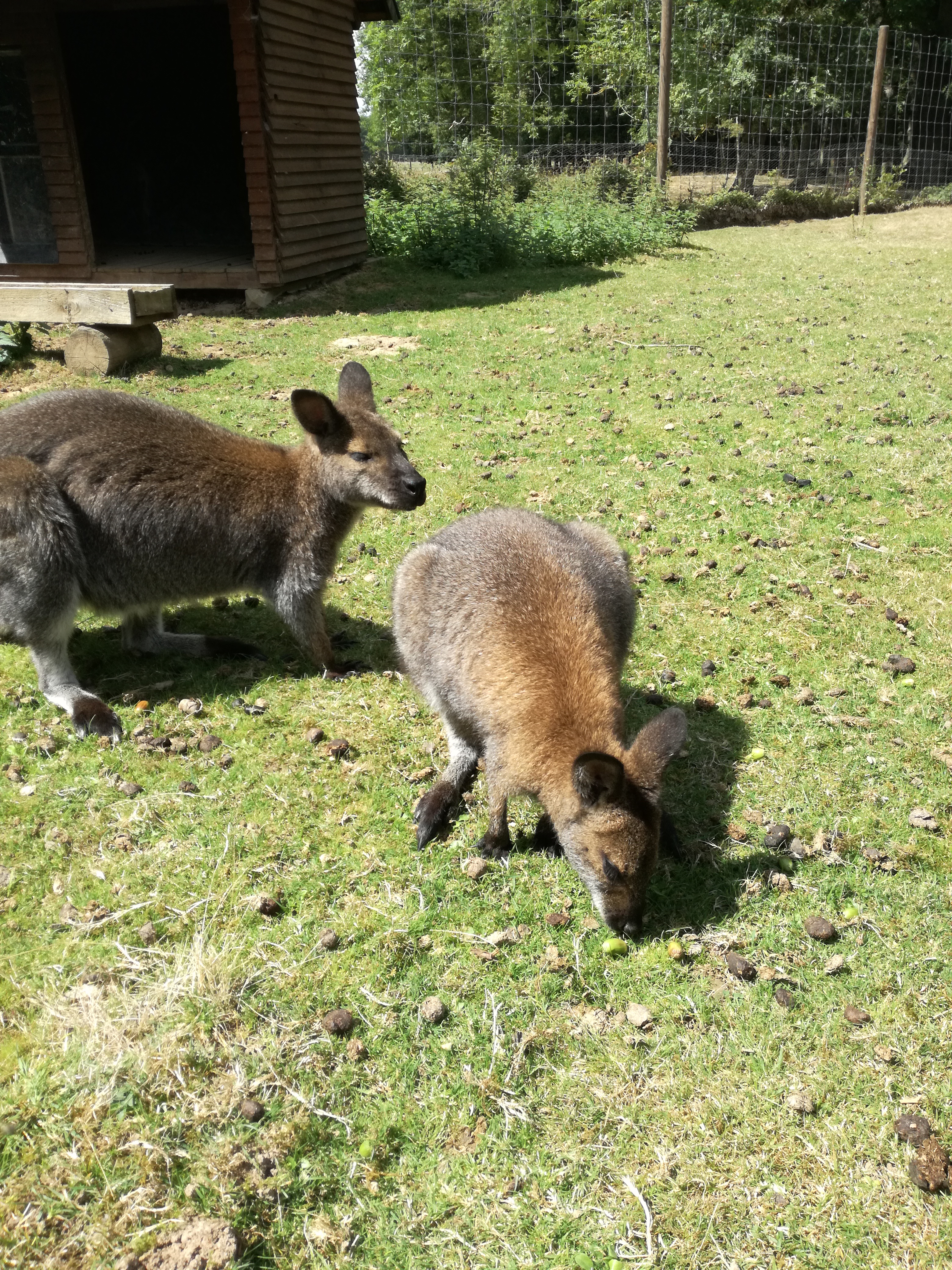 Photo n° 2 de l'avis de Gurvan.e fait le 21/08/2017 à 08:09