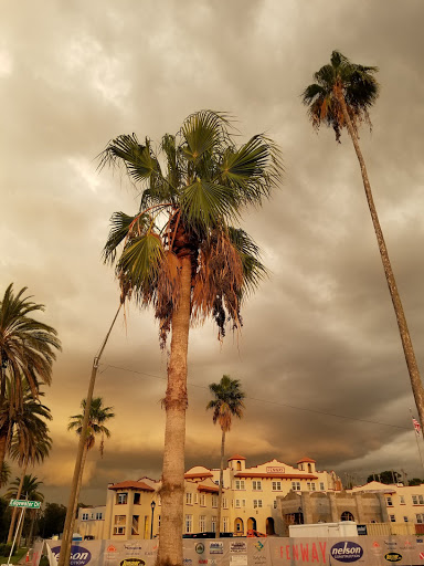 Park «Edgewater Park», reviews and photos, 51 Main St, Dunedin, FL 34698, USA