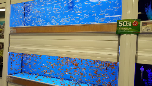 Pet Supply Store «Petco Animal Supplies», reviews and photos, 8161 Beverly Blvd, Los Angeles, CA 90048, USA