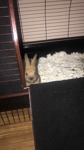 Pet Supply Store «Pet Partners», reviews and photos, 1962 W State St, Bristol, TN 37620, USA