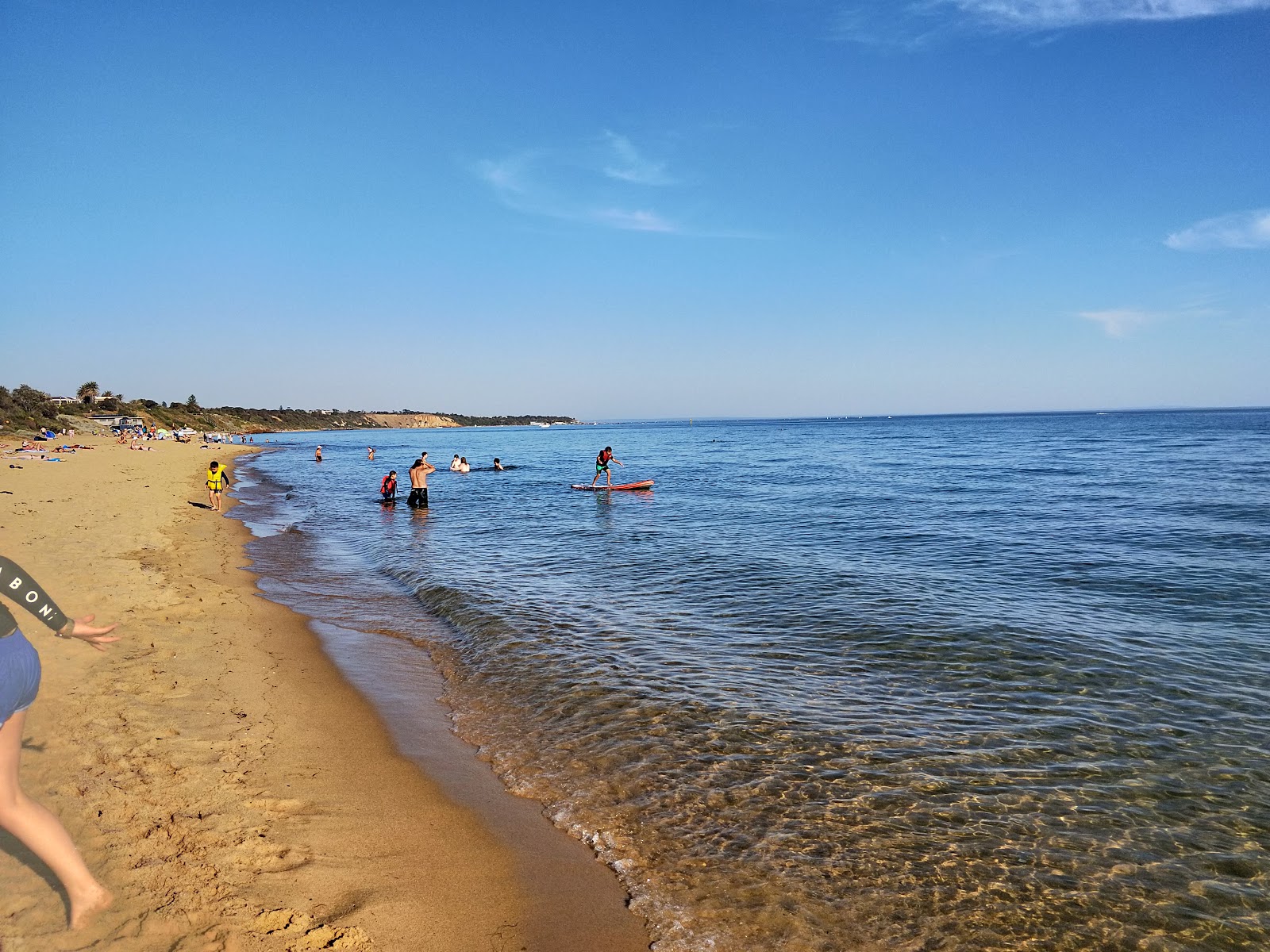 Foto van Sandringham Beach ondersteund door kliffen