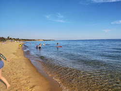 Foto van Sandringham Beach ondersteund door kliffen