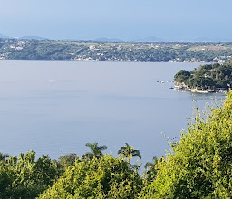 Cafe Crepas Y Waffles photo