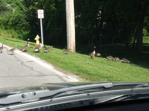Park «John Anderson Park & Splash Park», reviews and photos, 4701 E 135 St, Grandview, MO 64030, USA