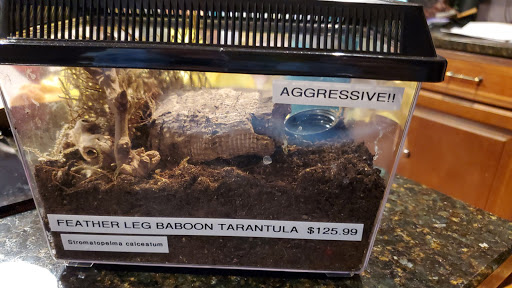 Pet Store «Pet World Warehouse Outlet», reviews and photos, 2984 S 108th St, Milwaukee, WI 53227, USA