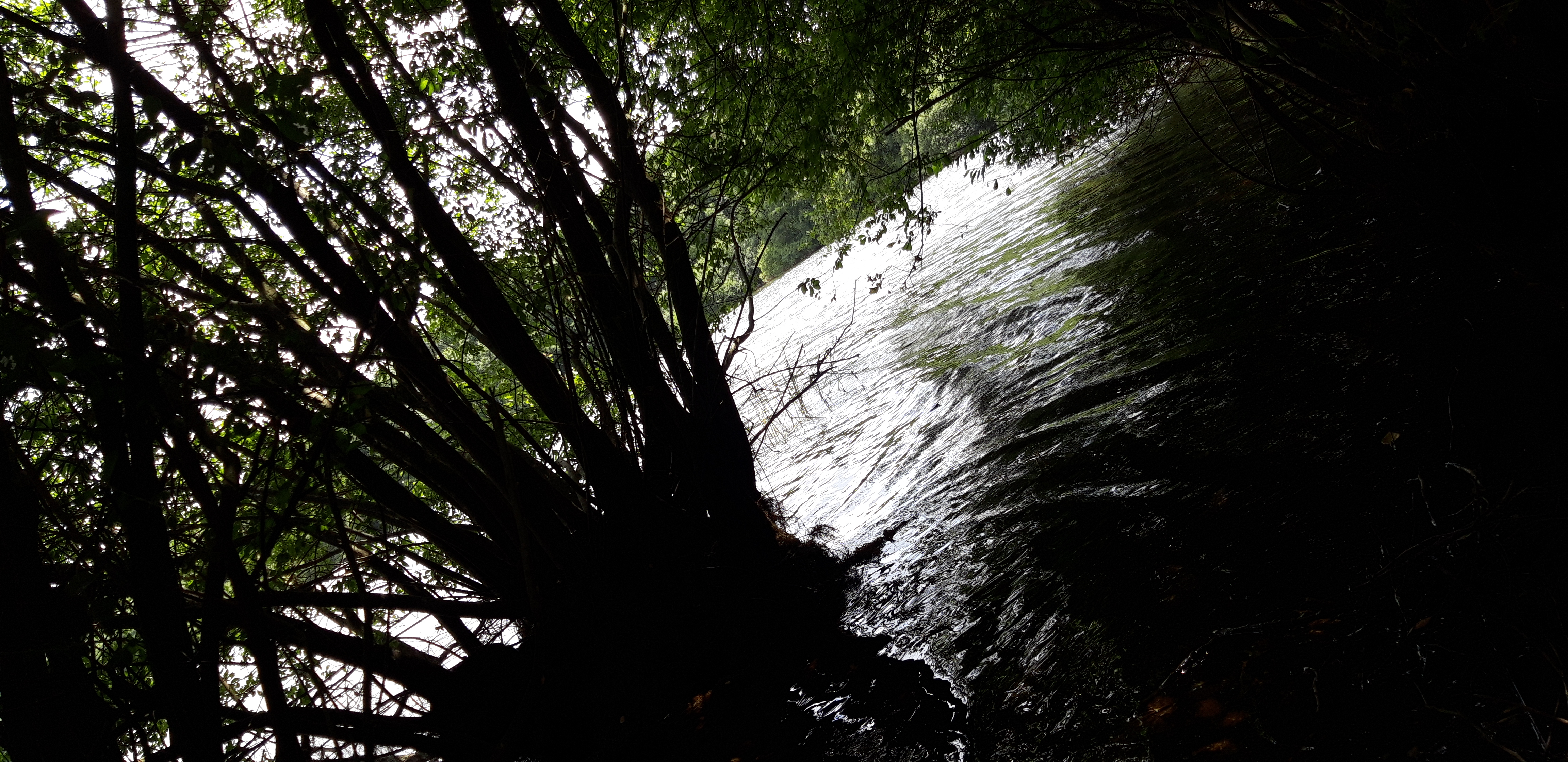 Photo n° 3 de l'avis de Maud.a fait le 26/07/2018 à 17:46