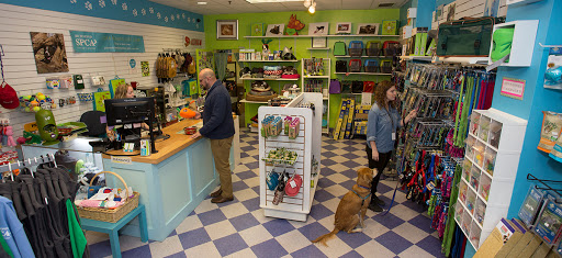 Richmond SPCA Gift Shop, 2519 Hermitage Rd, Richmond, VA 23220, USA, 