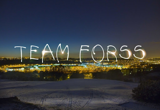 Team Forss Realty Group image