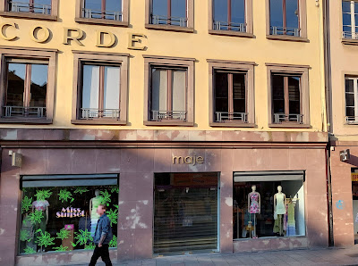 Maje - Strasbourg à Strasbourg