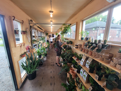 Grow a plant shop