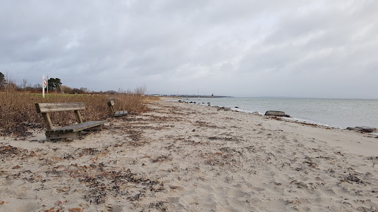 Akrogen Beach