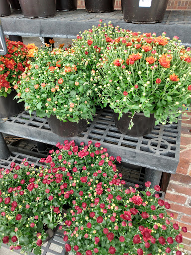 Supermarket «Super Stop & Shop», reviews and photos, 180 Danbury Rd, New Milford, CT 06776, USA