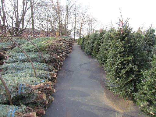 Garden Center «Dees Nursery & Florist», reviews and photos, 69 Atlantic Ave, Oceanside, NY 11572, USA