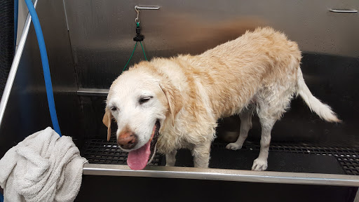 Pet Supply Store «Pet Supplies Plus», reviews and photos, 9430 W 159th St, Orland Park, IL 60467, USA