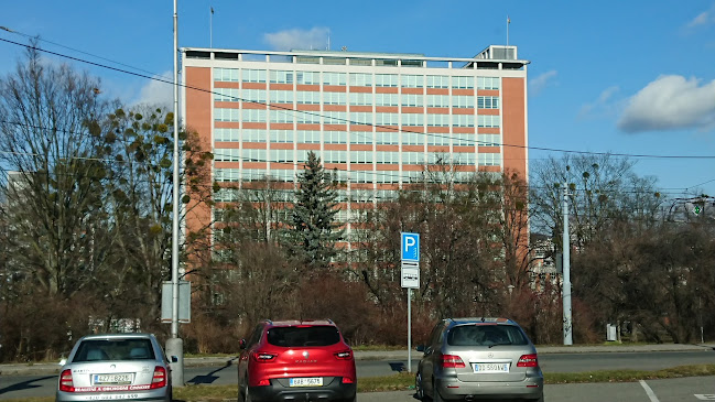 Parkoviště Březnická