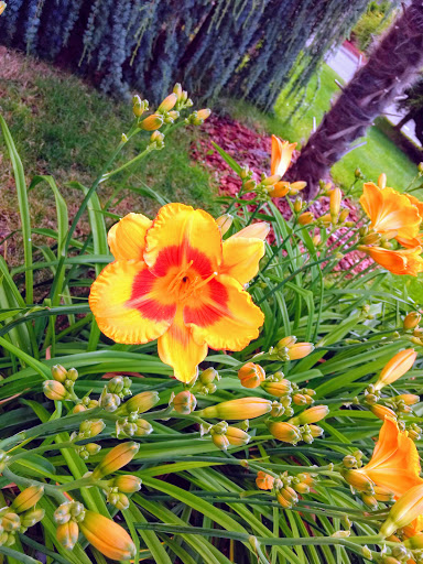 Supermarket «Walmart Neighborhood Market», reviews and photos, 7650 NE Shaleen St, Hillsboro, OR 97006, USA