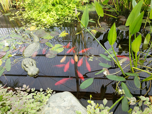 Hardware Store «Johnsons Home & Garden», reviews and photos, 26625 Maple Valley Black Diamond Rd SE, Maple Valley, WA 98038, USA