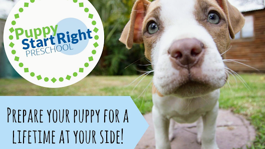 Patrizia Lalli - Scuola Cinofila Tumm Via Gressoney, 20, 11026 Pont-Saint-Martin AO, Italia