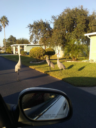 Golf Club «Swiss Golf & Tennis Club», reviews and photos, 494 Century Dr, Winter Haven, FL 33881, USA