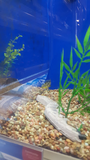 Pet Supply Store «PetSmart», reviews and photos, 2929 James Sanders Blvd f, Paducah, KY 42001, USA