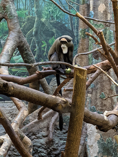 Park «Franklin Park», reviews and photos, 1 Franklin Park Rd, Boston, MA 02121, USA