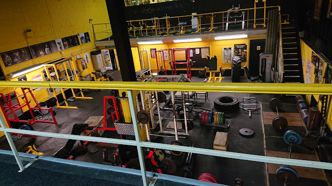 A1 Ironworks Fitness Concepts - Gym
