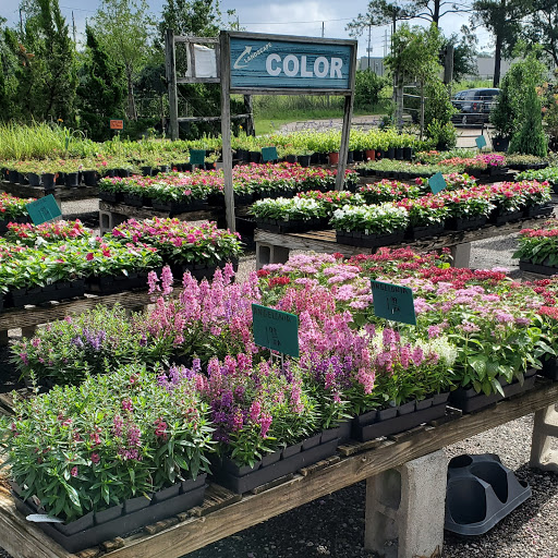 Plant Nursery «HOUSTON PLANTS & GARDEN WORLD», reviews and photos, 16726 North Fwy, Houston, TX 77090, USA