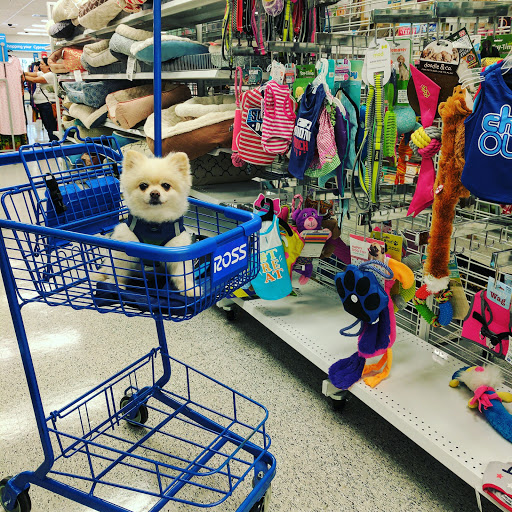 Clothing Store «Ross Dress for Less», reviews and photos, 6900 Katella Ave, Cypress, CA 90630, USA