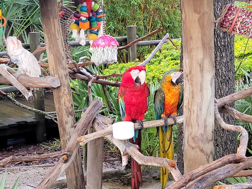 Theme Park «Fun Spot America Theme Parks-Orlando», reviews and photos, 5700 Fun Spot Way, Orlando, FL 32819, USA