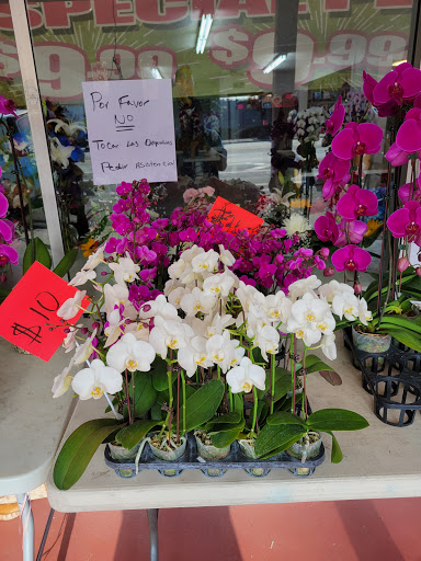 Florist «Avalon Flowers», reviews and photos, 1257 N Avalon Blvd, Wilmington, CA 90744, USA