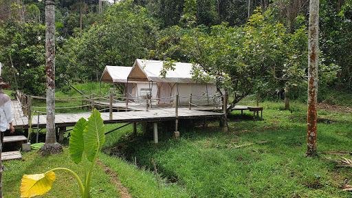 Canopy Villa Glamping Park