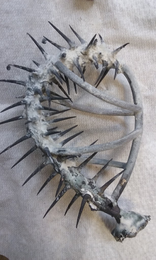 Recreation Center «Randolph Center», reviews and photos, 200 S Alvernon Way, Tucson, AZ 85711, USA