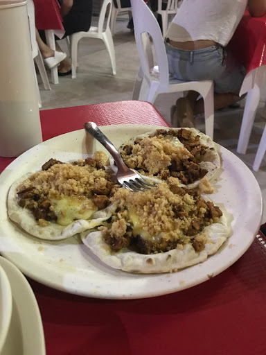 Tacos Árabes Harbanos