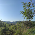 Photo n°3 de l'avis de sergio.o fait le 24/05/2022 à 05:02 sur le  Agriturismo I filari à Cesena