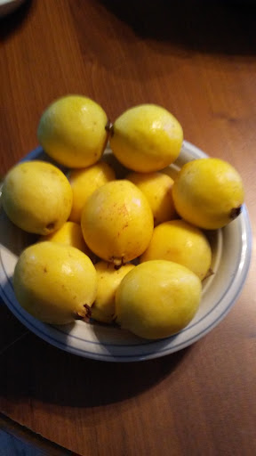 Grocery Store «Albertsons», reviews and photos, 6055 SW 185th Ave, Aloha, OR 97007, USA