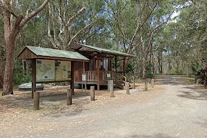 White Tree Bay campground and picnic area image