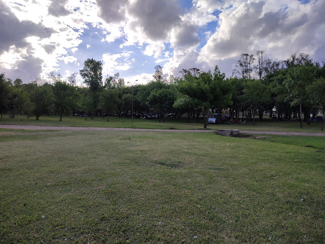 Opiniones de Parque Batlle en Tacuarembó - Camping