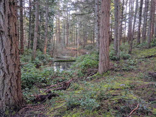 Golf Club «Fircrest Golf Club», reviews and photos, 1500 Regents Blvd, Fircrest, WA 98466, USA