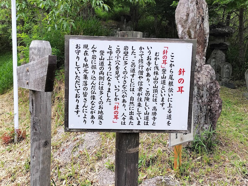「針の耳」登山道（九州自然歩道）