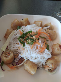 Plats et boissons du Restaurant asiatique L'Indochine à Saint-Alban - n°13