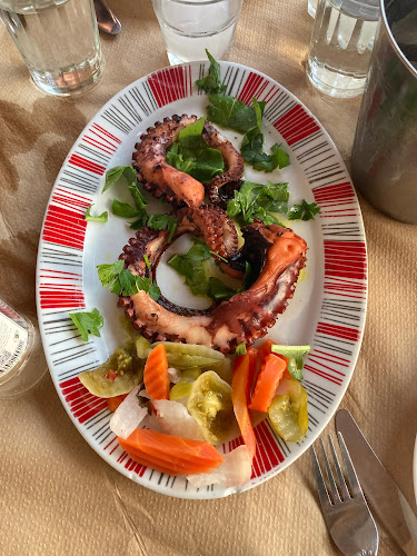 Κεραμωτή 640 11