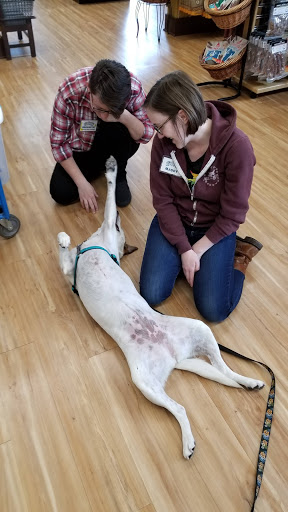 Pet Supply Store «All The Best Pet Care», reviews and photos, 1909 NW Market St, Seattle, WA 98107, USA