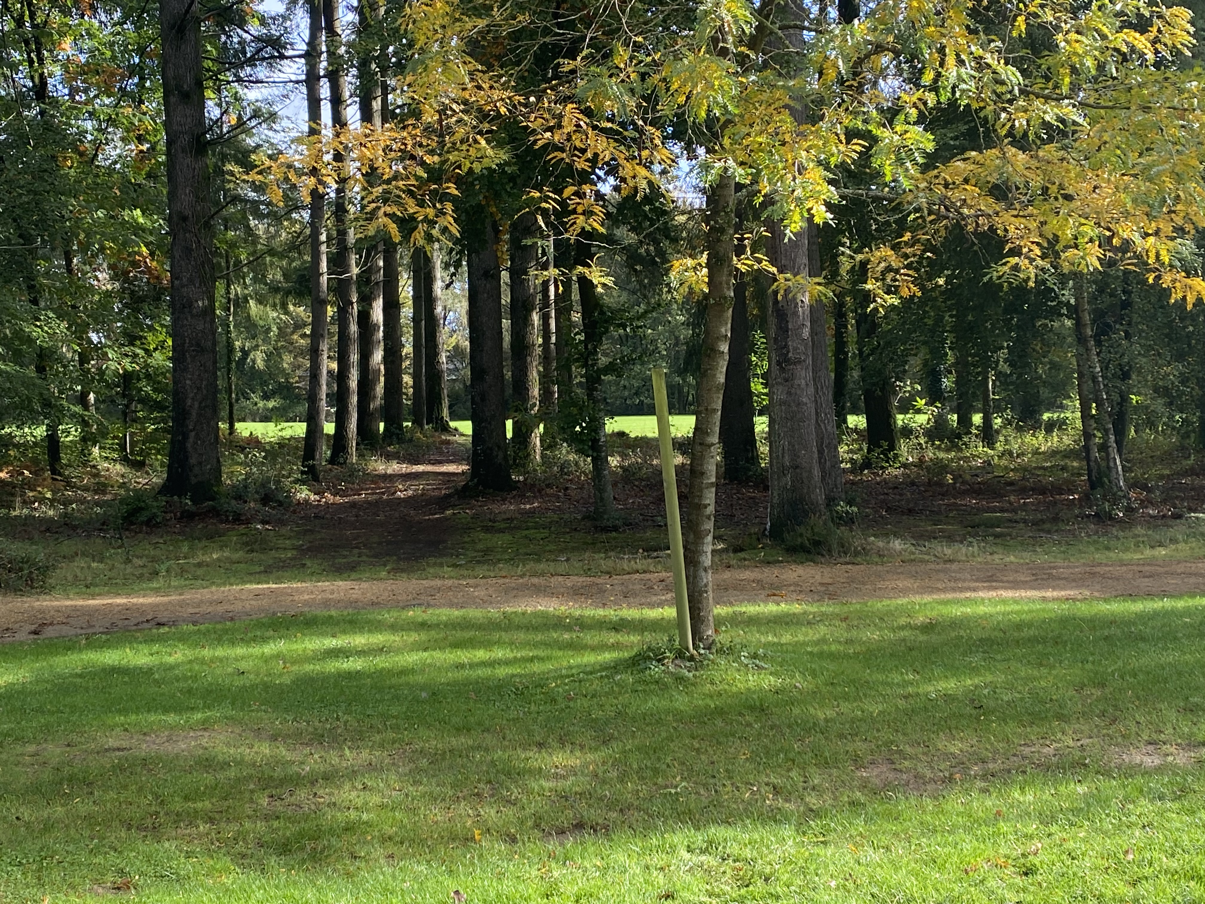 Photo n° 2 de l'avis de James.o fait le 31/10/2023 à 15:20
