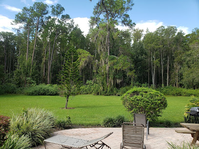 Mons Venus World Famous Nude Strip Club Tampa - Adult entertainment