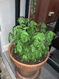 Photo n°30 de Sapori di Calabria à Avignon ()