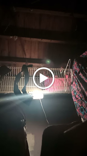 Liquor Store «Partyville Liquor», reviews and photos, 1804 S Custer Rd, Monroe, MI 48161, USA