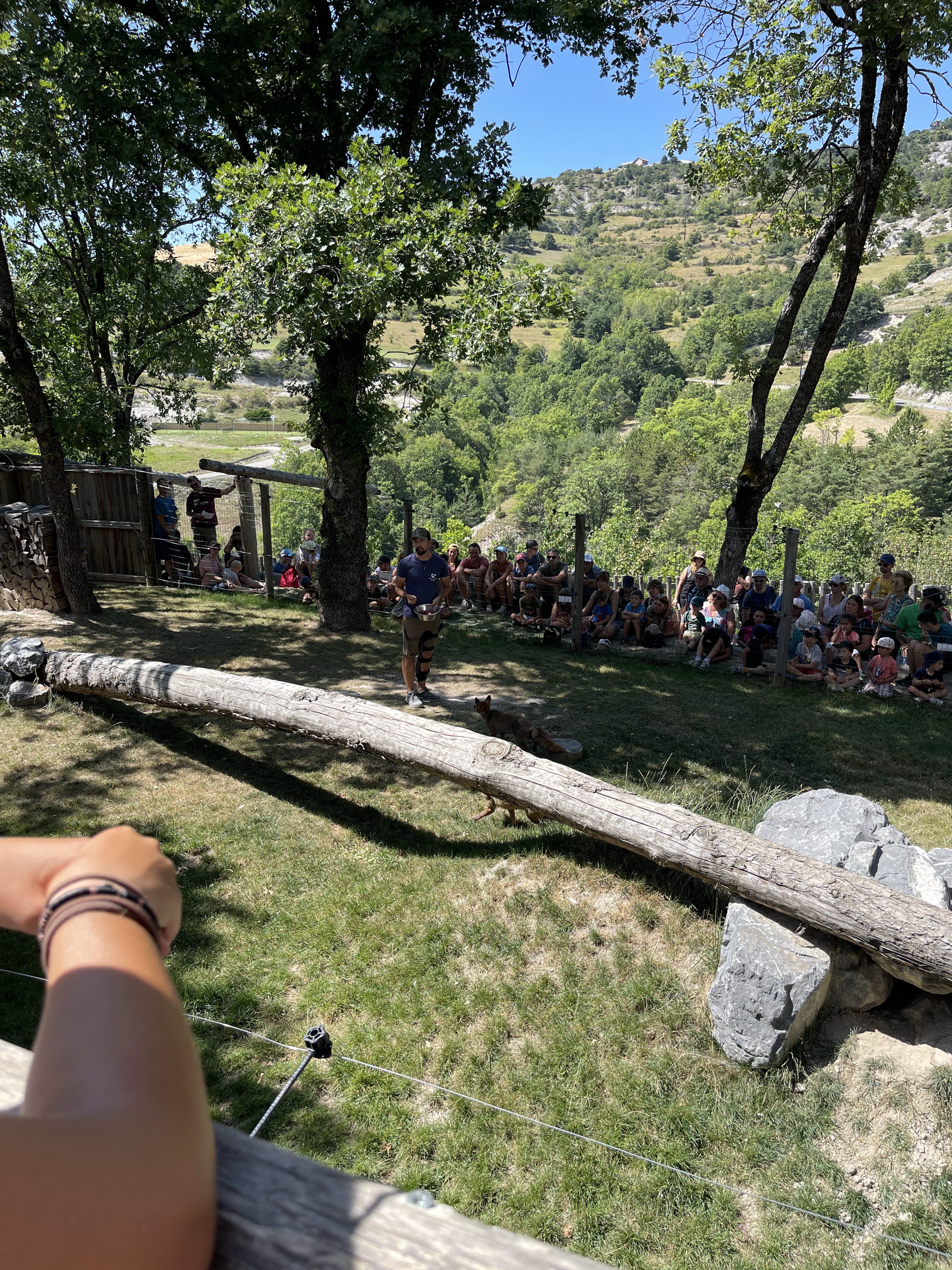 Photo n° 5 de l'avis de Ange.e fait le 13/08/2023 à 22:52