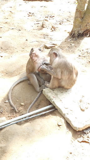 Top 20 cửa hàng play Huyện Cần Giờ Hồ Chí Minh 2022